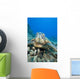 USA, Close-Up of Green Sea Turtle on reef Wall Mural