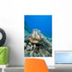 USA, Close-Up of Green Sea Turtle on reef Wall Mural