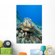 USA, Close-Up of Green Sea Turtle on reef Wall Mural