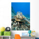 USA, Close-Up of Green Sea Turtle on reef Wall Mural