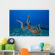 USA, tentacles outstretched over reef Wall Mural