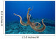 USA, tentacles outstretched over reef Wall Mural