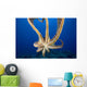 USA, Day Octopus Wall Mural