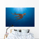 USA, Day Octopus swimming Wall Mural