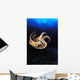 USA, Day Octopus swimming in Ocean Wall Mural