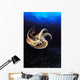 USA, Day Octopus swimming in Ocean Wall Mural