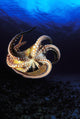 USA, Day Octopus swimming in Ocean Wall Mural
