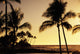 Ocean and silhouetted palm trees at sunset in Mauna Lani Resort Wall Mural