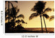 Ocean and silhouetted palm trees at sunset in Mauna Lani Resort Wall Mural