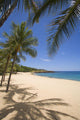 Palm Trees And Shadows Along Sandy Beach And Turquoise Ocean Wall Mural
