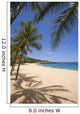 Palm Trees And Shadows Along Sandy Beach And Turquoise Ocean Wall Mural
