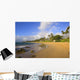 USA, Hawaii, Maui, Rainbow over palm trees and Keawakapu Beach Wall Mural