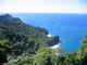 Martinique Wall Decal