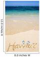 USA, Hawaii, Ocean in background Wall Mural