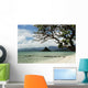 Sandy Beach With Tree Wall Mural