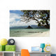 Sandy Beach With Tree Wall Mural