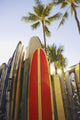 Close up view of colorful surfboards Wall Mural