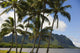 Waikane Beach Park with Pacific Ocean and Kualoa in background Wall Mural