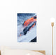 View of Pahoehoe lava flowing into Pacific Ocean Wall Mural