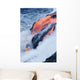 View of Pahoehoe lava flowing into Pacific Ocean Wall Mural