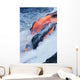 View of Pahoehoe lava flowing into Pacific Ocean Wall Mural