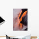View of Pahoehoe lava flowing into Pacific Ocean Wall Mural