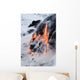 View of Pahoehoe lava flowing into Pacific Ocean Wall Mural