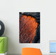 Close up of molten Pahoehoe lava Wall Mural