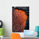 Close up of molten Pahoehoe lava Wall Mural