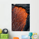 Close up of molten Pahoehoe lava Wall Mural