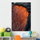 Close up of molten Pahoehoe lava Wall Mural