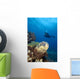 Hawaii, Diver Photographing Green Sea Turtle Wall Mural