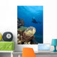 Hawaii, Diver Photographing Green Sea Turtle Wall Mural