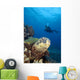 Hawaii, Diver Photographing Green Sea Turtle Wall Mural