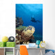 Hawaii, Diver Photographing Green Sea Turtle Wall Mural