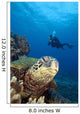 Hawaii, Diver Photographing Green Sea Turtle Wall Mural