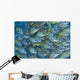 Hawaii, School Of Bluestripe Snapper Wall Mural