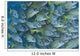 Hawaii, School Of Bluestripe Snapper Wall Mural