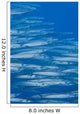 Hawaii, School Of Heller's Barracuda Wall Mural