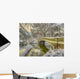 Central Park New York in Winter Wall Decal