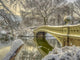Central Park New York in Winter Wall Decal