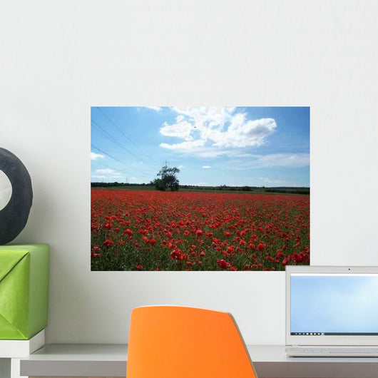 Pylon Poppies Wall Decal