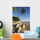 USA, Hawaii, Maui, Palm tree and driftwood on beach Wall Mural