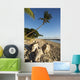 USA, Hawaii, Maui, Palm tree and driftwood on beach Wall Mural