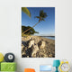 USA, Hawaii, Maui, Palm tree and driftwood on beach Wall Mural