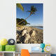 USA, Hawaii, Maui, Palm tree and driftwood on beach Wall Mural