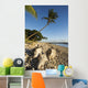 USA, Hawaii, Maui, Palm tree and driftwood on beach Wall Mural