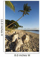 USA, Hawaii, Maui, Palm tree and driftwood on beach Wall Mural
