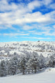 Winter Landscape Wall Mural