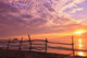A Fence Along The Water's Edge At Sunrise At Cabo Pulmo Wall Mural